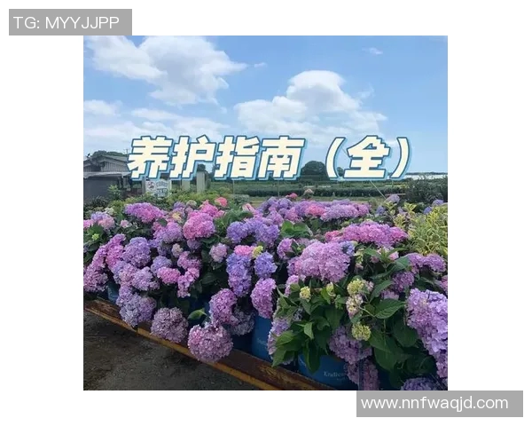 花卉种植技巧与养护方法探索,打造美丽花园的实用指南 花卉种植技巧与养护方法探索,打造美丽花园的实用指南